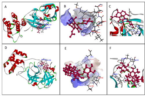 JPPS-Molecular